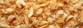 Dehydrated Onion detail view 1