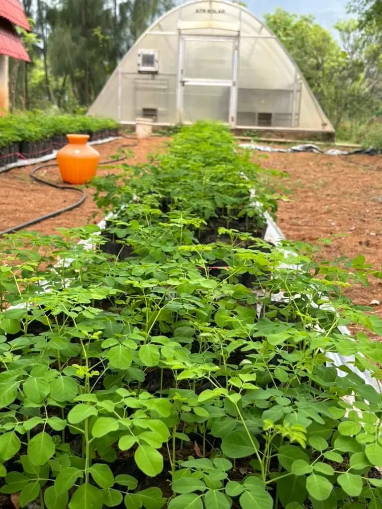 Our Farms & Sourcing